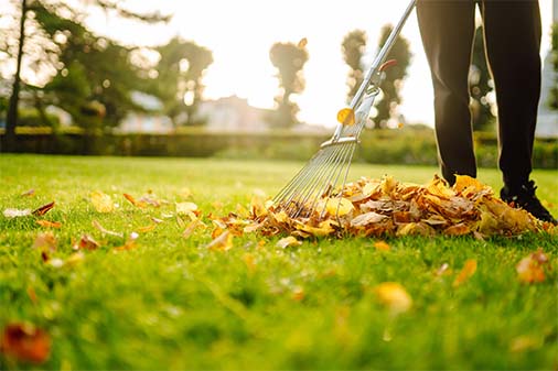 Fall Landscaping Services